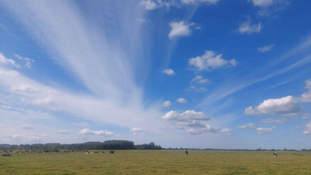 illustratieve foto van weiland en lucht